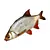 Animated Rudd Fish - 500 Tris 3D model small image 1