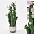 Versatile 5-Plant Bundle: Vray & Corona ready 3D model small image 1