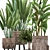 Exquisite Indoor Plant Collection 3D model small image 2