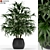 170-Piece Plant Collection: Stunning Poly and Vert Counts 3D model small image 1