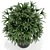 170-Piece Plant Collection: Stunning Poly and Vert Counts 3D model small image 2