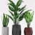 Colorful Indoor Plants Set 3D model small image 2