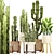 Exotic Plant Collection: Euphorbia, Cereus, Aloe 3D model small image 1