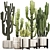 Exotic Cacti & Plants Collection 3D model small image 1