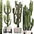 Exotic Cacti & Plants Collection 3D model small image 2