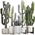 Exotic Cacti & Plants Collection 3D model small image 3