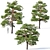 3-Pine Collection: Pinus Sylvestris #5 H7-10m 3D model small image 1