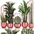 Exotic Plant Collection: Cacti, Palm, Copper Pot 3D model small image 1