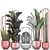 Exotic Plant Collection: Cacti, Palm, Copper Pot 3D model small image 3