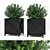 Outdoor Plant Set in Pots: 2 Varieties 3D model small image 1