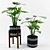 Lively Monstera: Perfect Decor 3D model small image 1