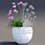 Coastal Beauty in a Pot | Primorsky Armeria 3D model small image 2