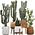 Exotic Houseplant Collection: Cacti & Prickly Pear 3D model small image 1