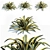 Agave Americana: Stunning, Natural, Realistic 3D model small image 1