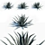 Blue Glow Agave: 3 Variations 3D model small image 1