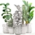 Exotic White Baskets Plant Collection 3D model small image 3