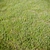 Lush Landscaping Grass: High Quality, Realistic & Detailed 3D model small image 1