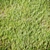 Lush Landscaping Grass: High Quality, Realistic & Detailed 3D model small image 3