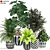 179 Plant Collection: Poly 1.22M, Verts 721K 3D model small image 1