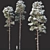 Snow-Covered Pine Trees: 2 Adult Pines, 19-22m Height 3D model small image 1