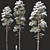 Snow-Covered Pine Trees: 2 Adult Pines with Opacity Maps 3D model small image 1