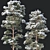 Snow-Covered Pine Trees: 2 Adult Pines with Opacity Maps 3D model small image 3