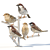 Sparrow Duo - 2 Perched Poses 3D model small image 3