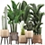 Exotic Plant Collection: Cacti, Palm & Grass 3D model small image 1