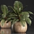 Exotic Palm Collection in Rattan Pot 3D model small image 1