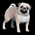 Furry Pug Model 3D model small image 1