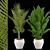 Elegant Greenery for Your Space 3D model small image 1