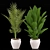 Elegant Greenery for Your Space 3D model small image 2