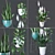 Tropical Harmony: Indoor Plant Collection 3D model small image 2