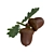 Leafy Delights: Dried Acorns for Natural Crafts 3D model small image 1
