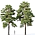 Optimized Pines Set: 12-14m Height 3D model small image 1