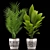 Tropical Greenery: Palm & Aspidistra Plant 3D model small image 2