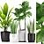 Botanical Bliss: Aspidistra, Sansevieria, Ficus, Aloe Vera 3D model small image 1