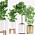 Ficus Pandurata & Palm Plants-152: Pot Varieties | 3D Max FBX 3D model small image 1