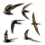 Swift in Flight - Exquisite Avian Replica 3D model small image 2