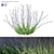Title: Perovska Swan-Leaved Little Spire | Perovskia Atriplicifolia 3D model small image 1