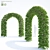 European Beech Arch | Fagus Sylvatica Arch 3D model small image 1