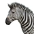 Zebra Model Kit: High-Quality 3D Sculpt with Textures & OBJ 3D model small image 2