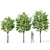 Title: Tilia europaea Set of 5 Trees 3D model small image 2