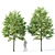 Title: Tilia europaea Set of 5 Trees 3D model small image 3