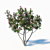 Pink Dawn Tree: Chitalpa Tashkentensis 3D model small image 3