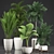 Exotic Houseplants Collection 3D model small image 1