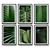 Tropical Leaf Set 31: Real-size 3D Models 3D model small image 1