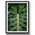 Tropical Leaf Set 31: Real-size 3D Models 3D model small image 2