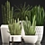 Exotic Houseplant Collection - Sansevieria 3D model small image 1