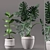 Greenery Duo: Rubber & Monstera 3D model small image 1